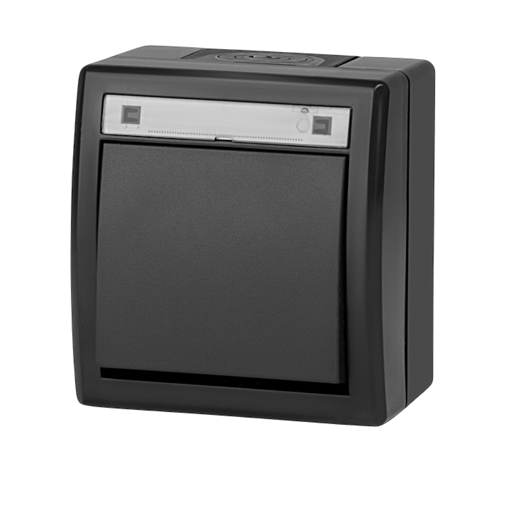 AQUANT 2K interrupteur bipolaire en saillie IP55 5004-17 EPN