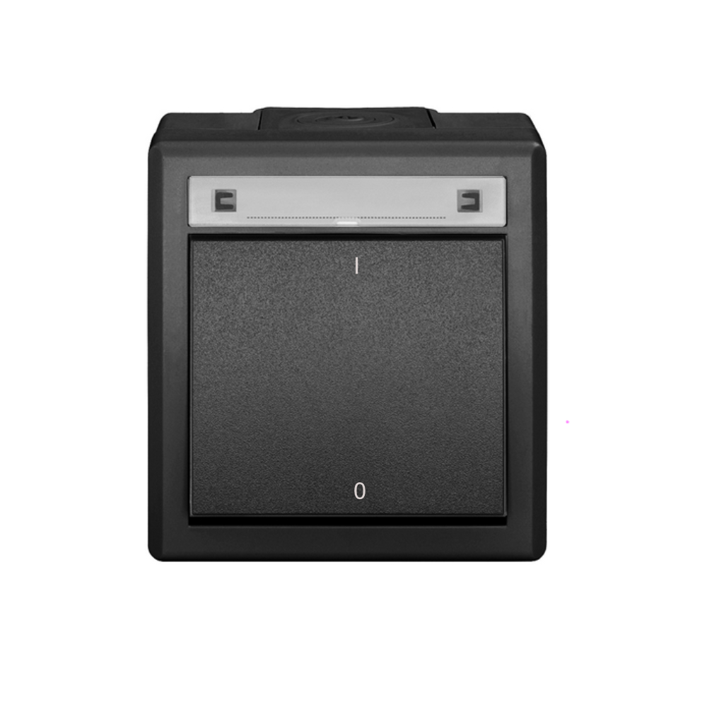 AQUANT 2K INTERRUPTEUR BIPOLAIRE EN SAILLIE IP55 5003-17 EPN