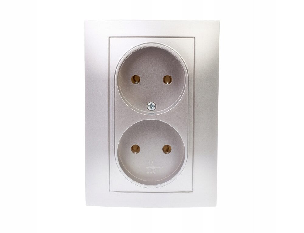 Prise Électrique Murale Elektro-Plast Nasielsk Argent 1741-06