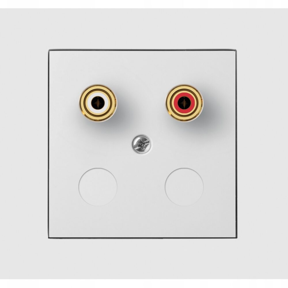 Prise Électrique Murale Elektro-Plast Nasielsk Blanc 3857-10