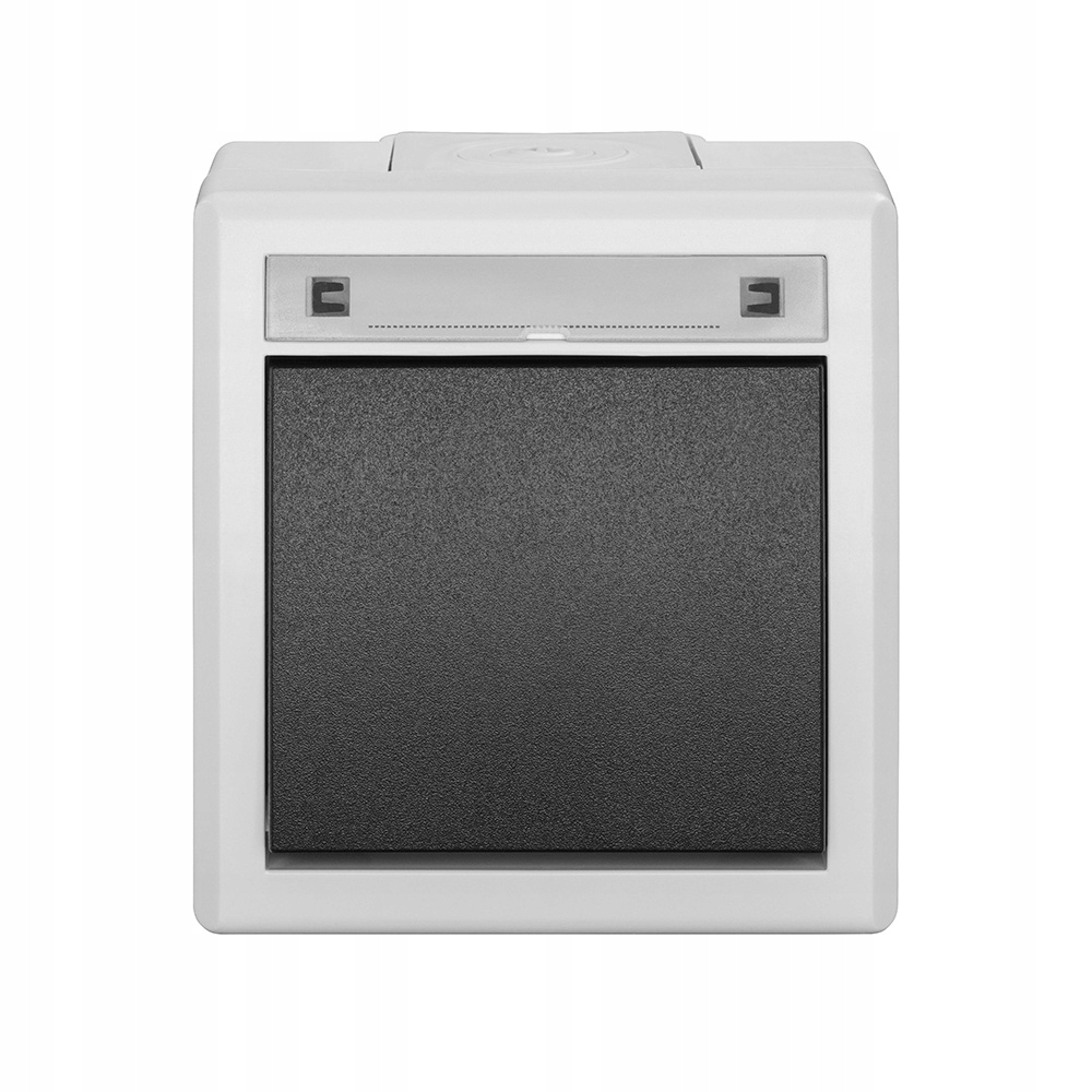 Interrupteur simple Elektro-Plast Nasielsk AQUANT gris IP55 5001-10