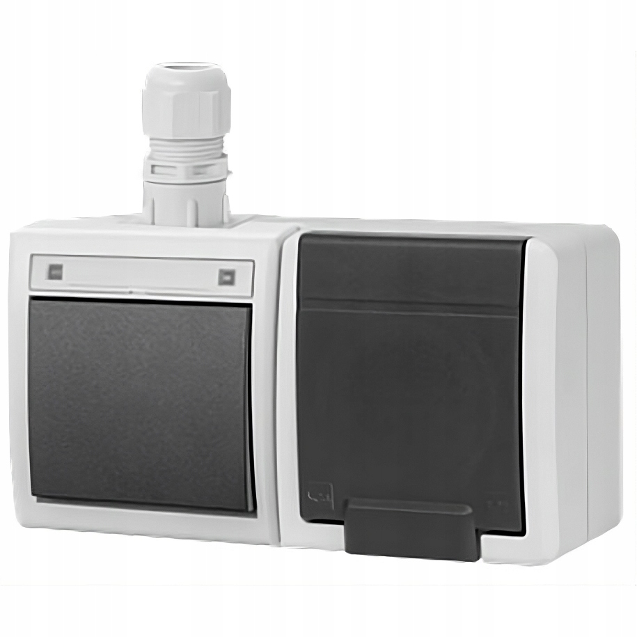 Prise Électrique Étanche Elektro-Plast Nasielsk Gris 5047-65