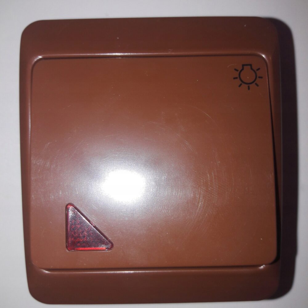 Interrupteur simple marron Elektro-Plast Nasielsk IP44 0346-06