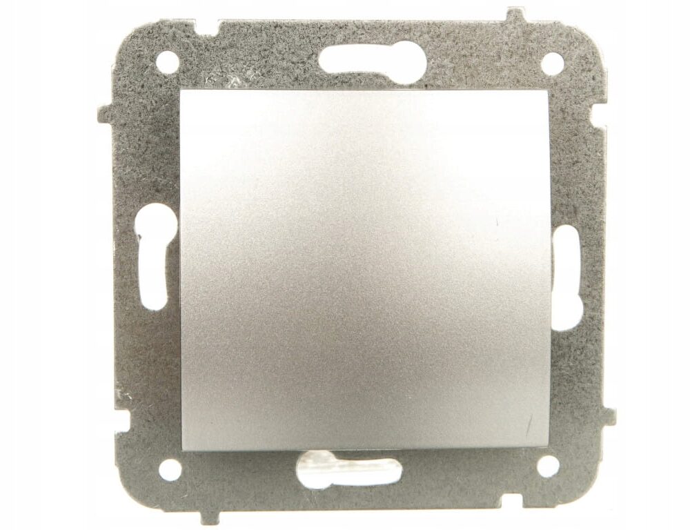Interrupteur simple Classique Elektro-Plast Nasielsk argent 171016