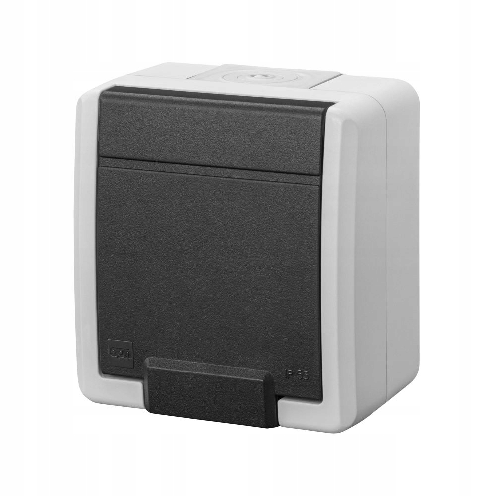 Prise simple étanche IP55 en saillie grise AQUANT 2K EPN 5041-10