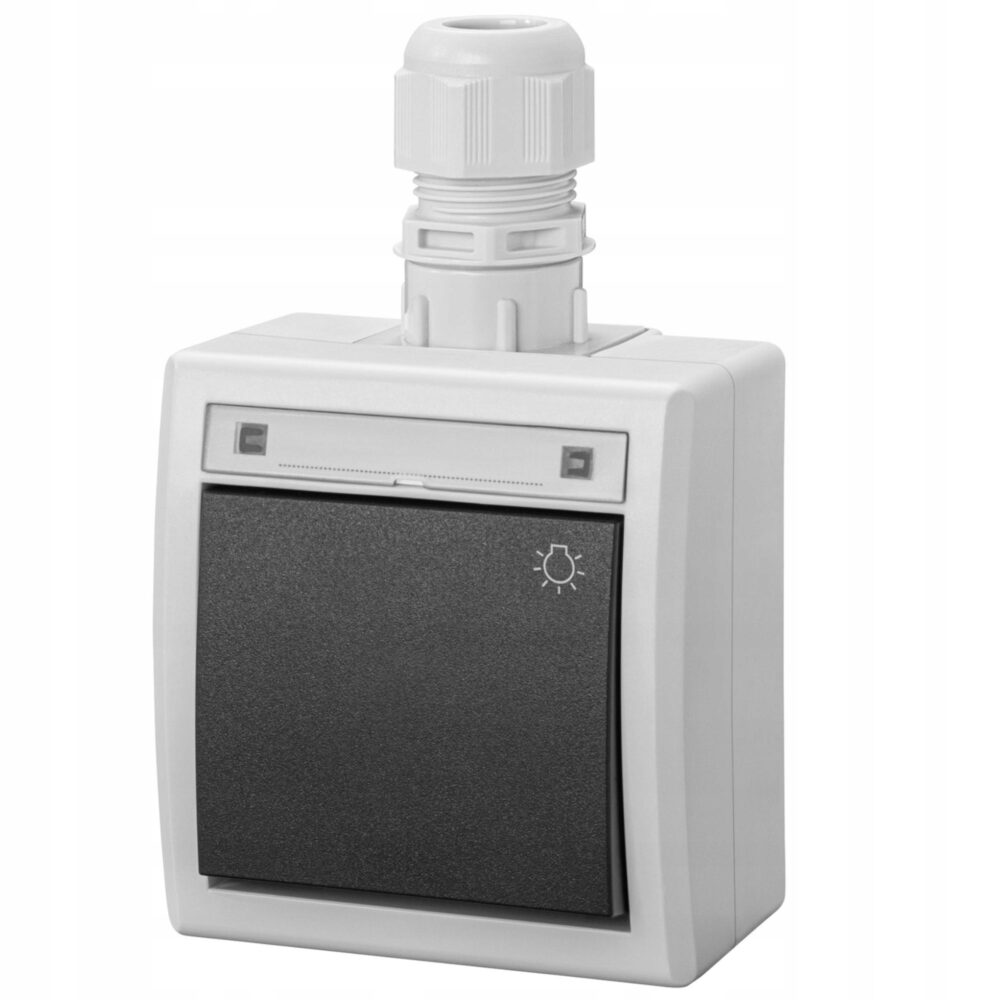 AQUANT 2K BOUTON POUSSOIR ICÔNE LUMIÈRE N/T IP65 GRIS 5004-65