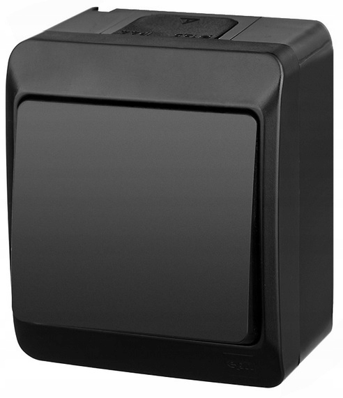 Interrupteur simple Elektro-Plast Nasielsk Hermes ŁNT noir 0331-09